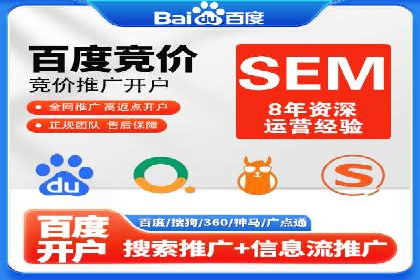 SEM运营推广策略：成功案例解析